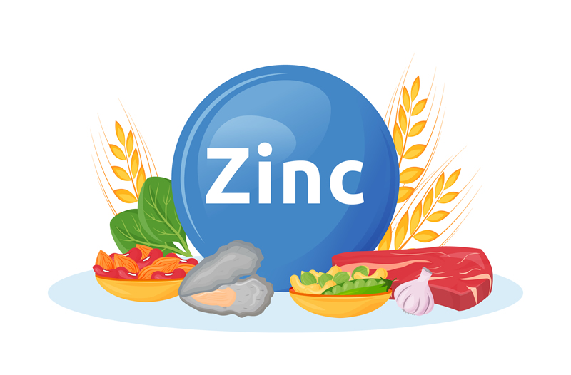Signs that you are Zinc Deficient