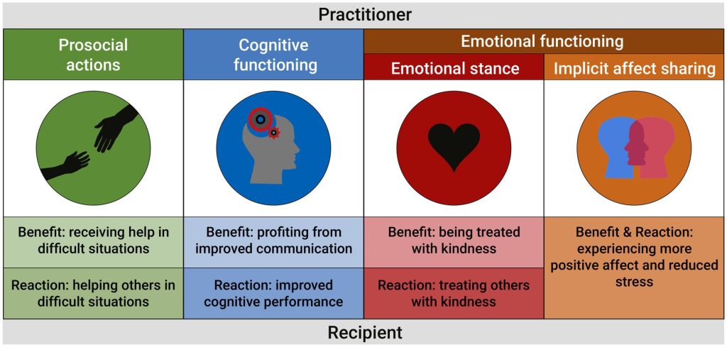 Beyond Stress Relief: How Meditation Enhances Cognitive Function And Well-Being