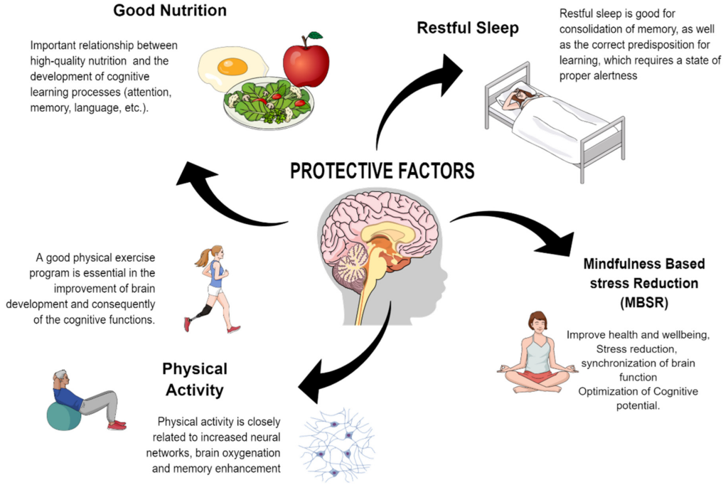 Beyond Stress Relief: How Meditation Enhances Cognitive Function And Well-Being